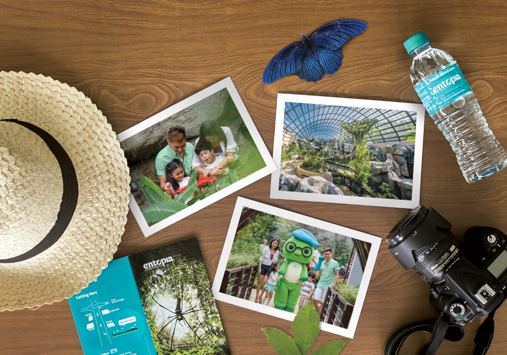 Visitor Info - Entopia - Voices of Nature