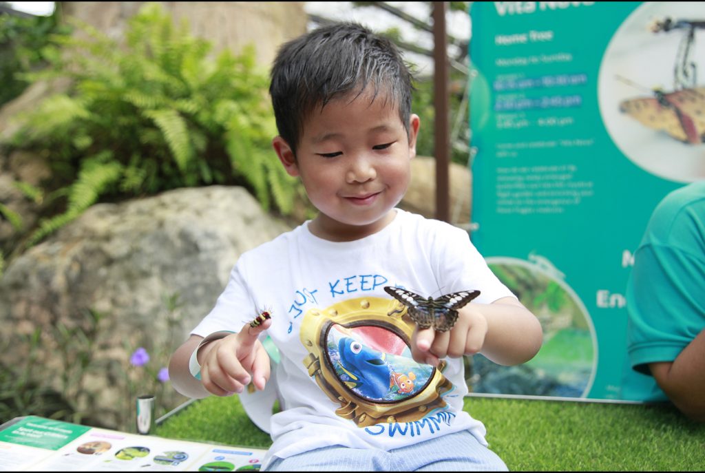 Nature Learning Activities - Entopia - Voices of Nature