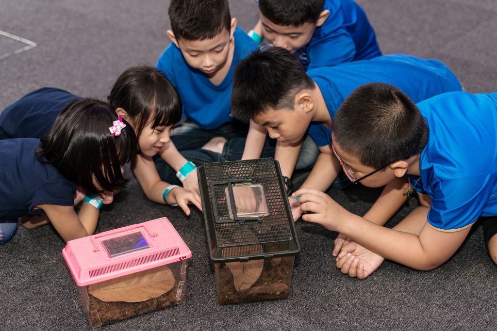 Nature Learning Programmes - Entopia - Voices of Nature