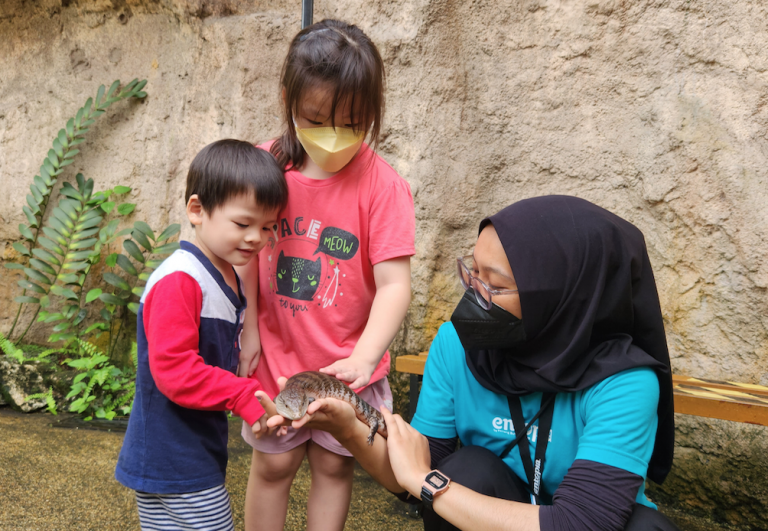 Nature Learning Activities - Entopia - Voices of Nature